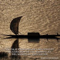 Absolus Allegoria Rose Amira  125ml-222110 Absolus Allegoria Rose Amira  125ml-222110 5